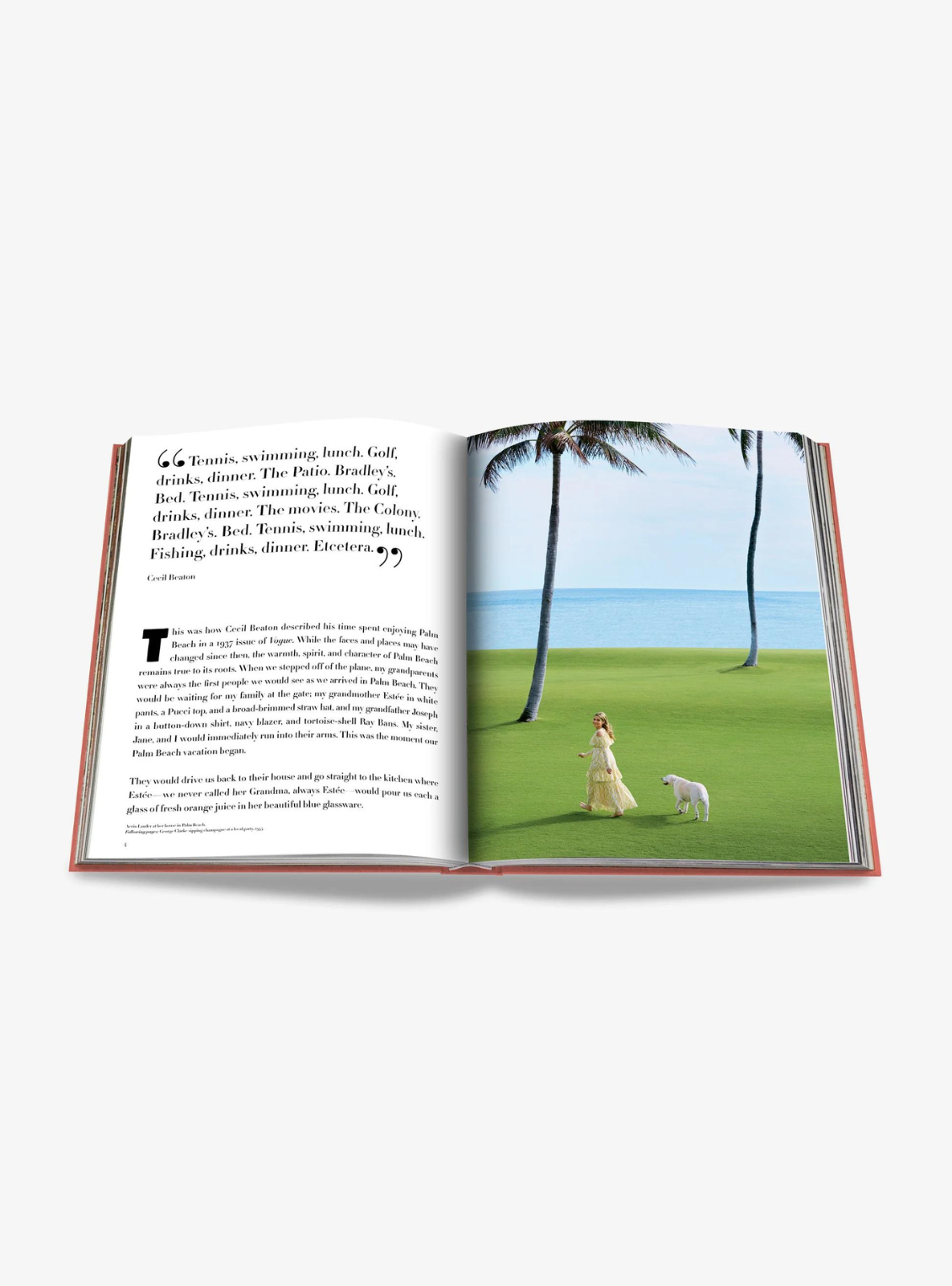 The Classics Collection | PALM BEACH