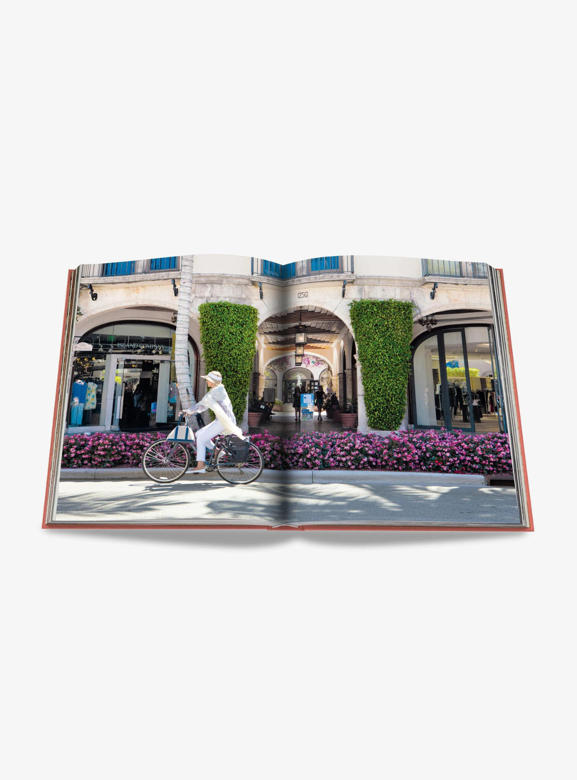 The Classics Collection | PALM BEACH