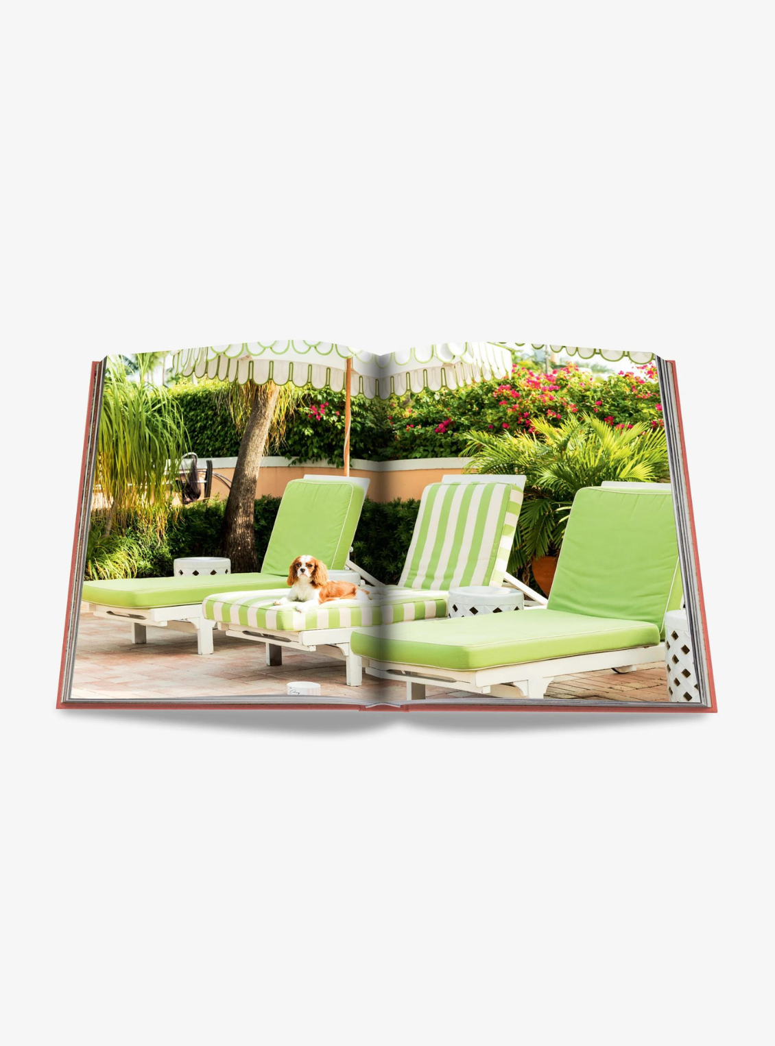 The Classics Collection | PALM BEACH