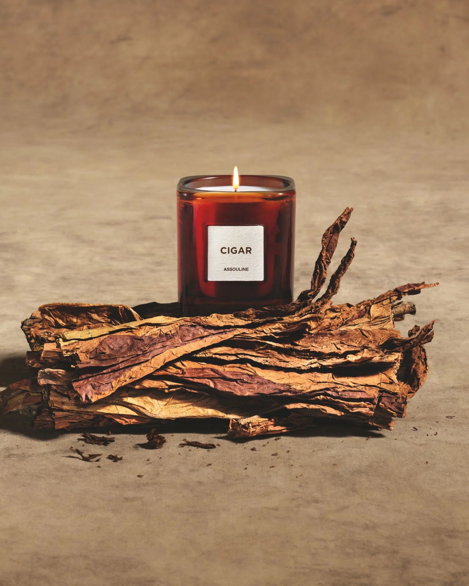 Library Candle | CIGAR