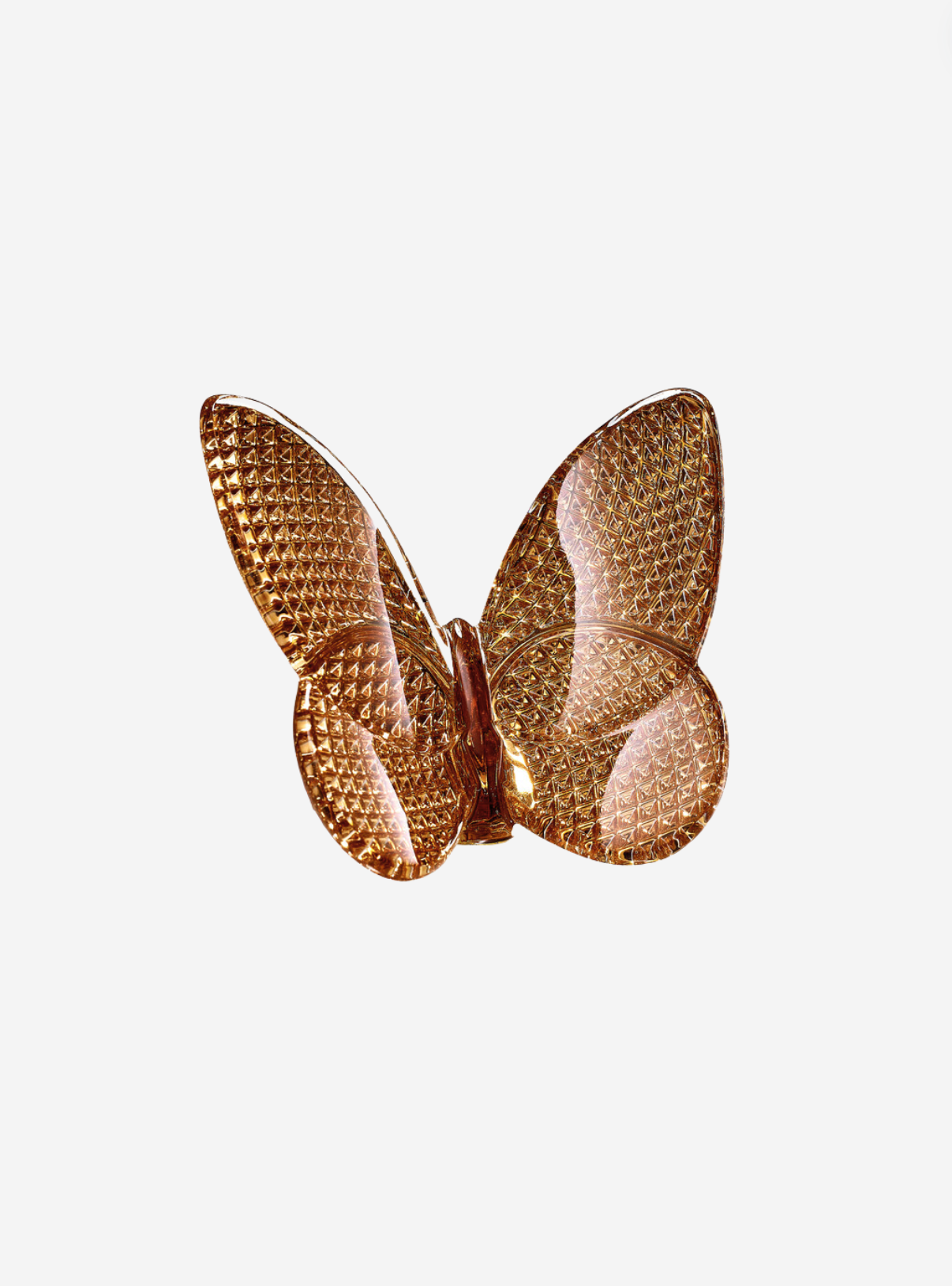 LUCKY BUTTERFLY