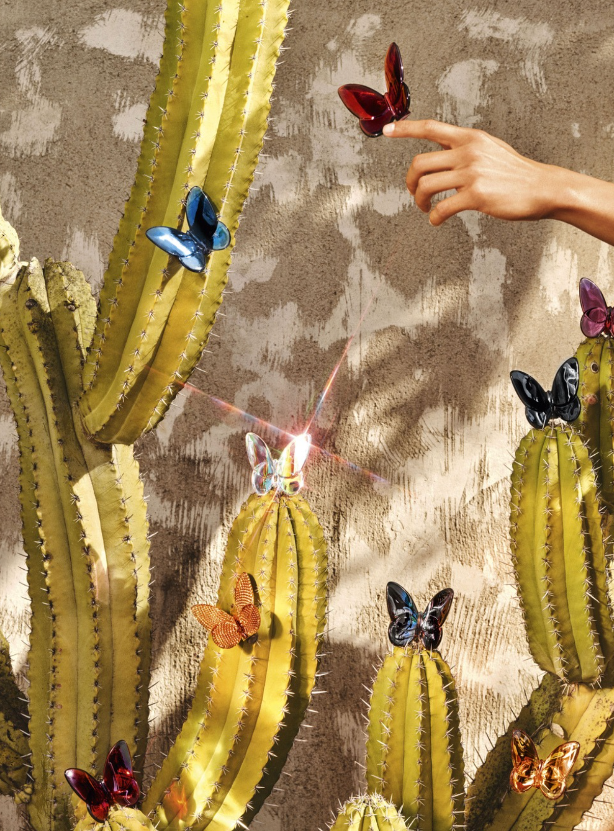 LUCKY BUTTERFLY